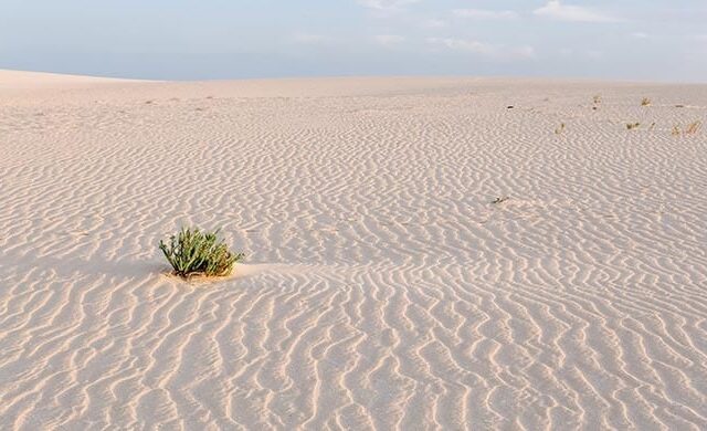 Parco Naturale delle Dune di Corralejo