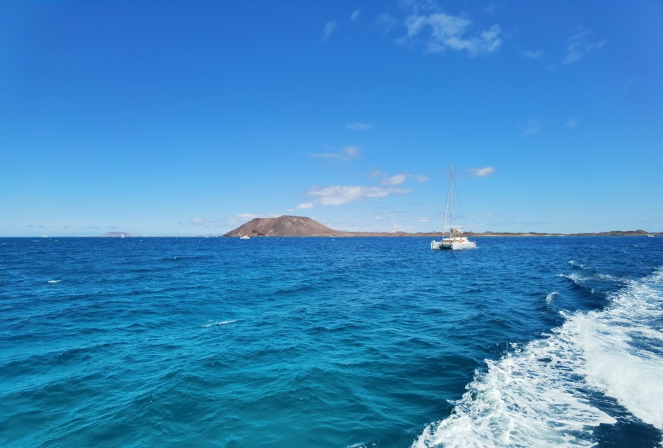 Isola di Lobos avvistamento Delfini